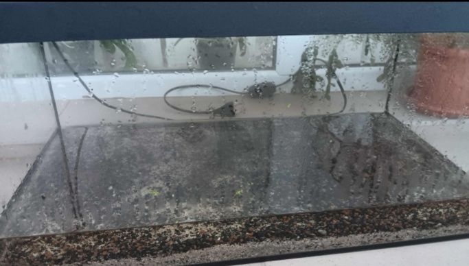 De vânzare acvariu de la AQUAEL echipat cu tot acvariul este de 60×30×