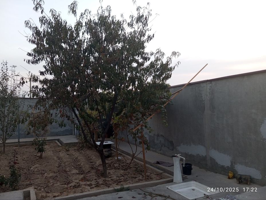 Uy-joy xovli sotiladi srochna