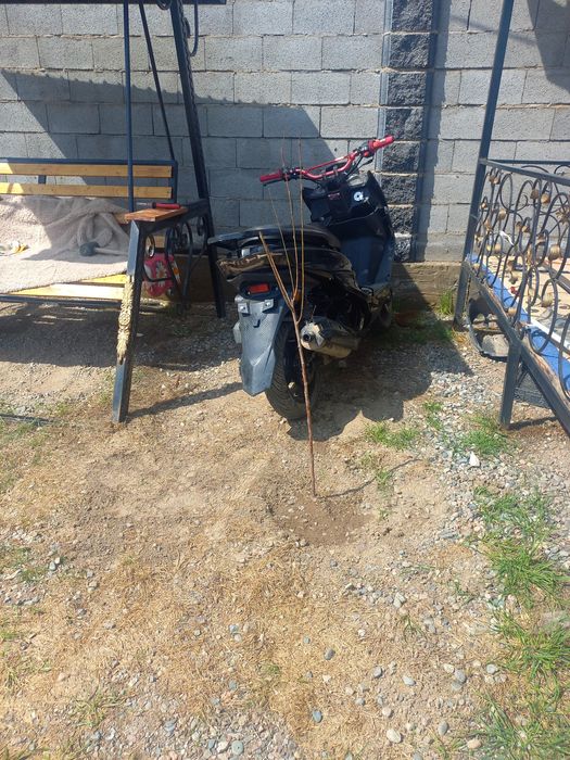 Срочно продам мапед макси 2023 с документом покупал в магазине 2023год