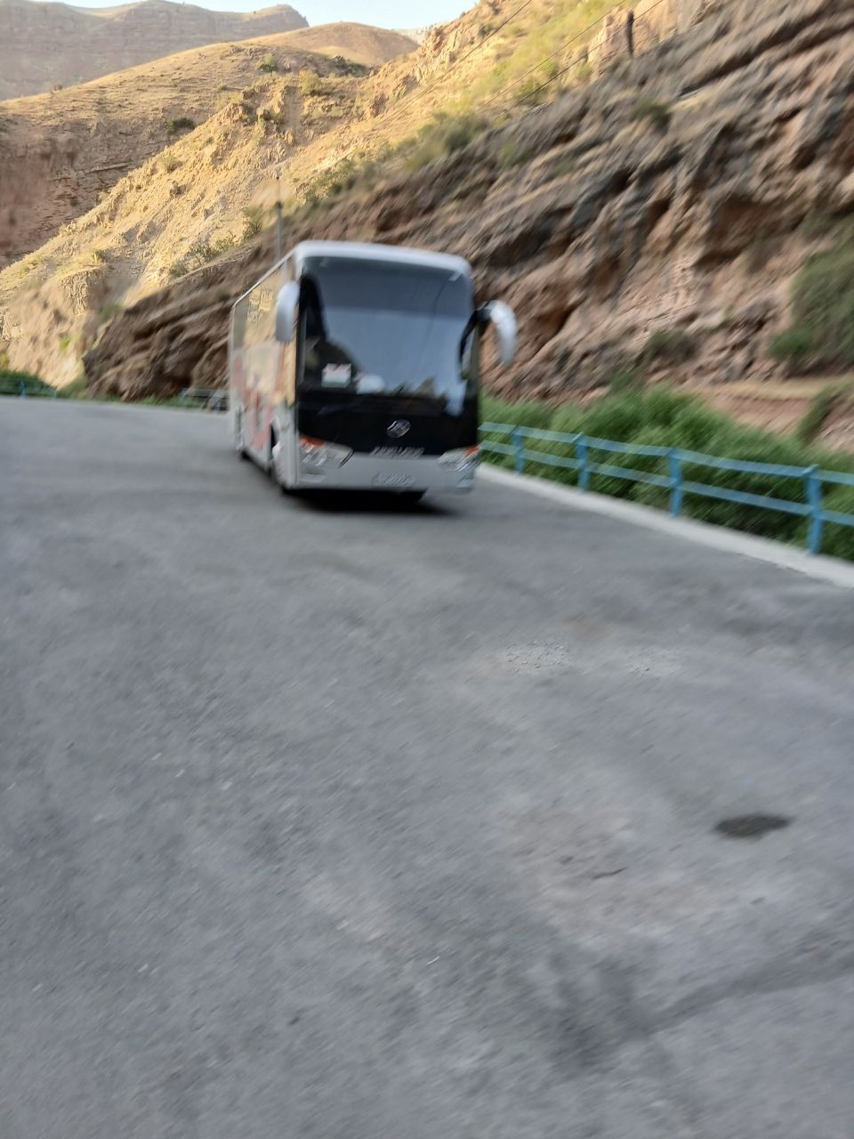 Автобус на заказ