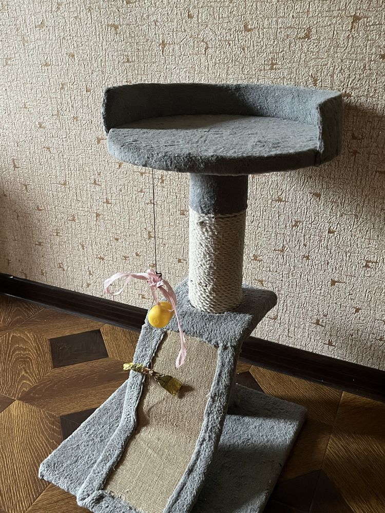 Вислоухие котята