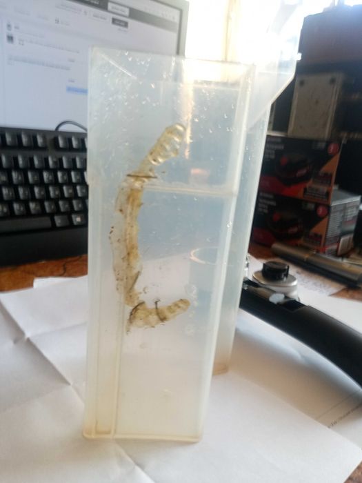 кафемашини delongi/treviso и ec156.b/-60лв.