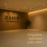 Manager Parc Auto - RAMIR Automobile