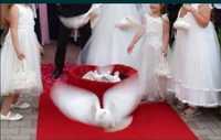 Porumbei voiajori albi pentru nunti
