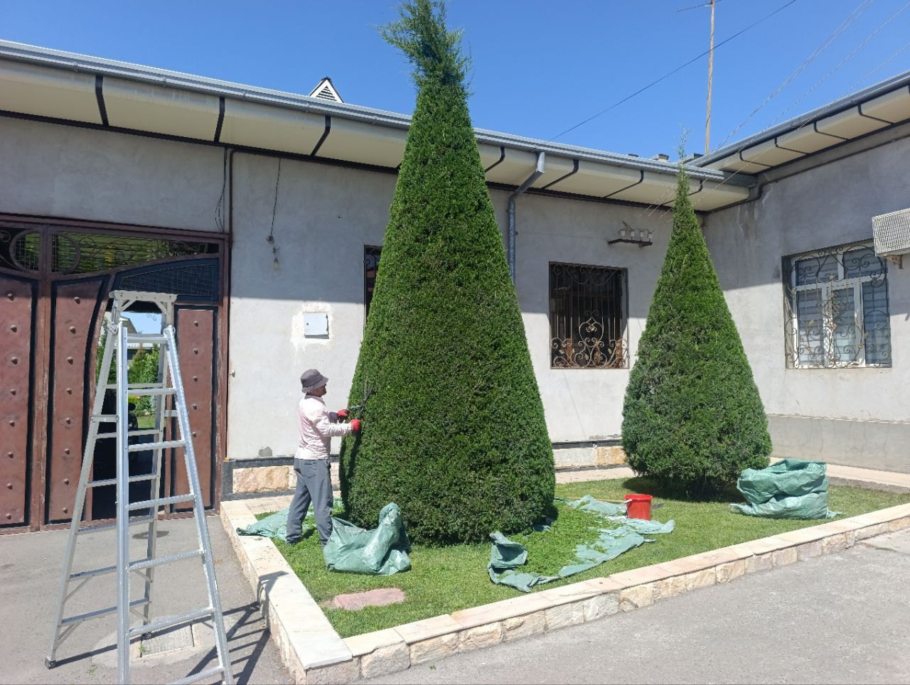 Archa kesish va Rulanovoy chim yotqizish Gazon lanshaft