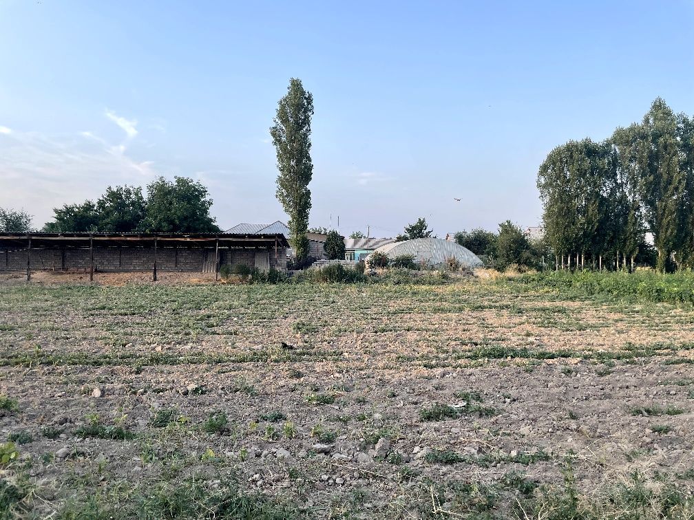 10 sotik uchastka sotiladi