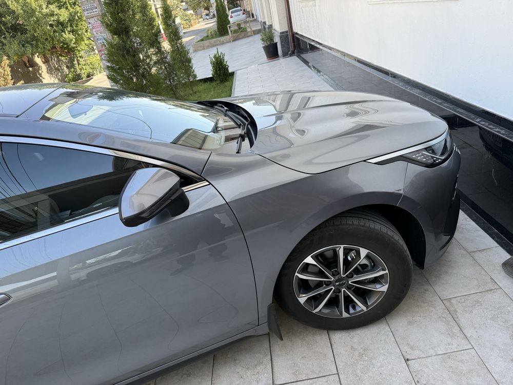 byd chazor 1 padzitsasi 55 km