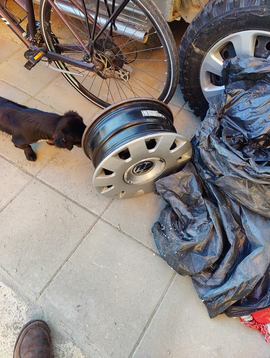 Genti tabla pasat auto