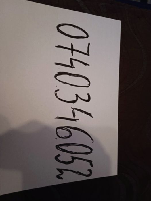 Bivolițe de vânzare și taur