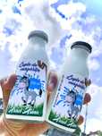 Lapte de magarita CRUD
