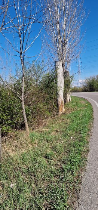 Vand  teren pe centura Ploiesti ideal parc industrial 30 euro/mp