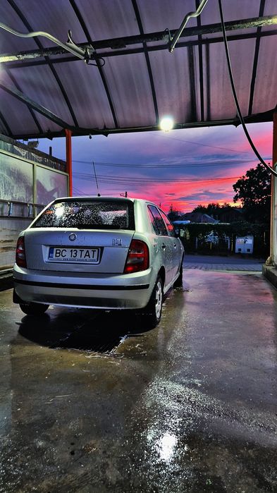 Vand skoda fabia 1