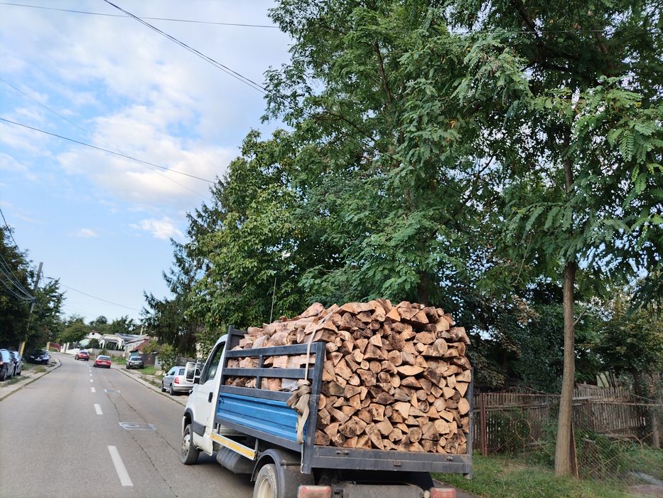 Lemne de foc uscate