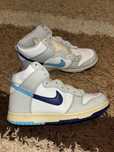 Vand Nike Dunk SE