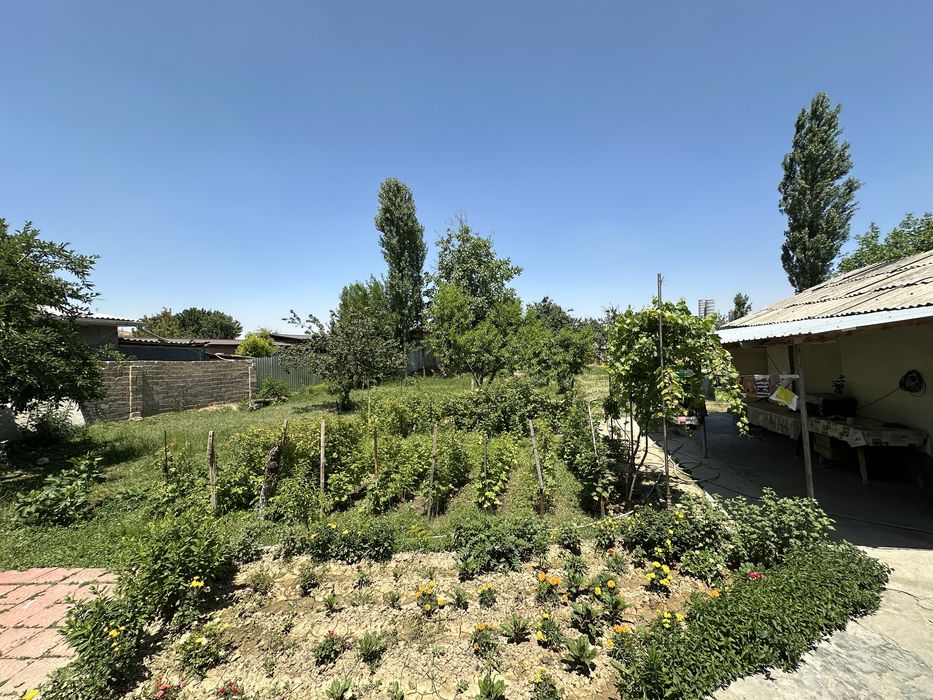 Hovli sotiladi 11 sotix