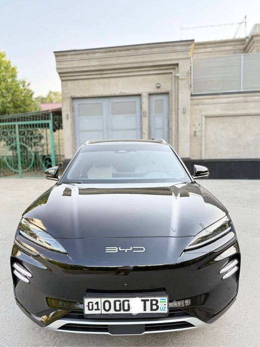 Byd Champion full 605