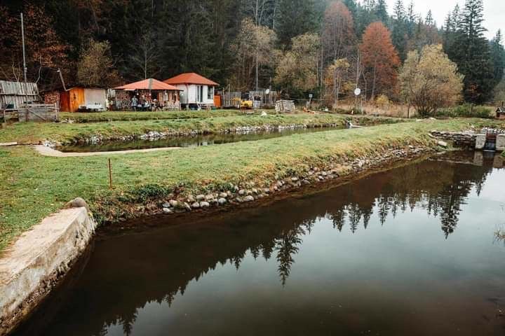 Pastravarie Lunca Bradului