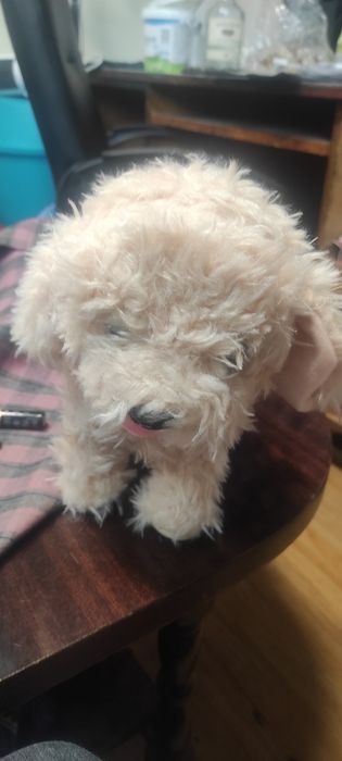 Интерактивно кученце