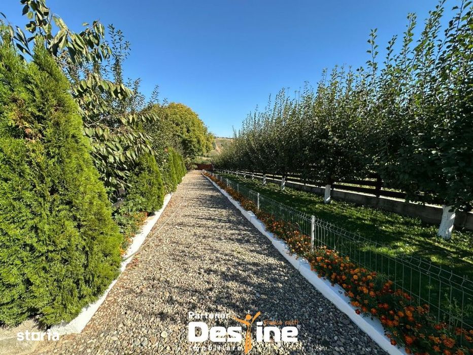 Bucovina Mica - Proprietate cu potential turistic in Tatarusi