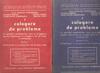 Culegere de probleme-Nicolae Teodorescu 2 vol.