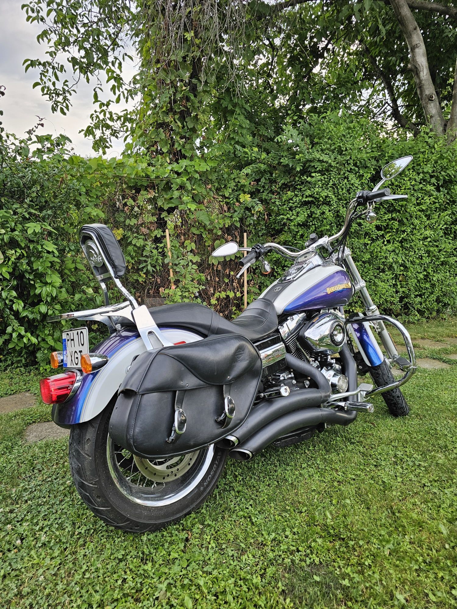 Harley impecabil