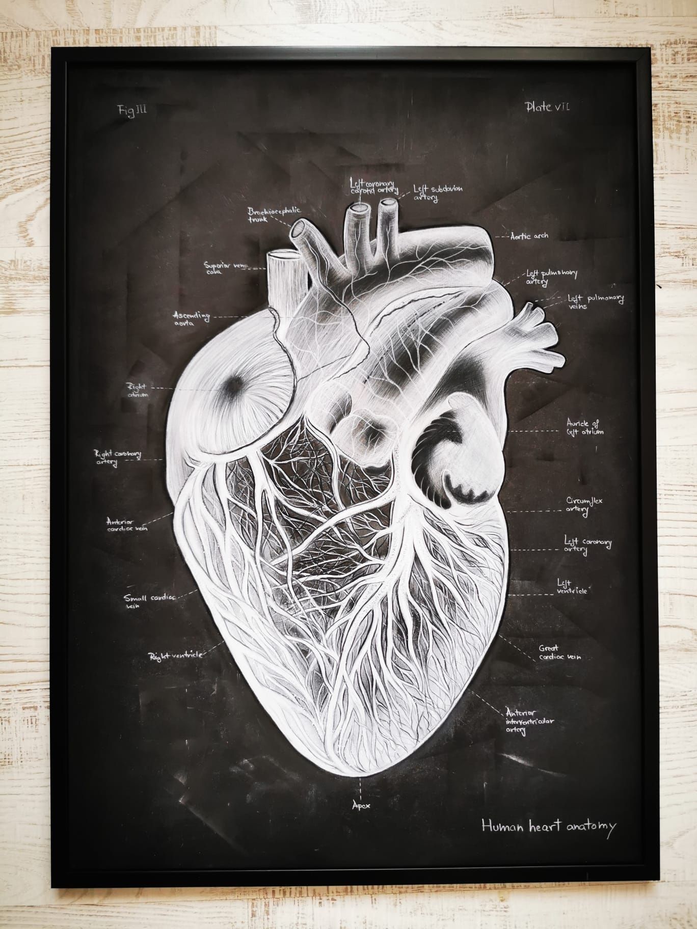 Tablou Anatomia Inimii