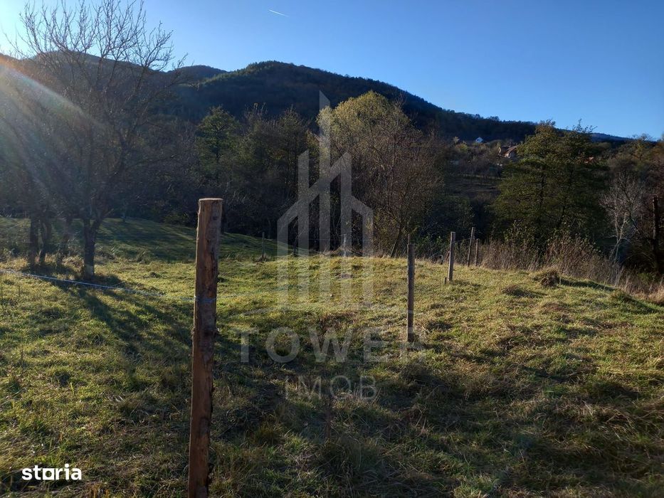 Teren extravilan de vânzare | Fântânele-Sibiu