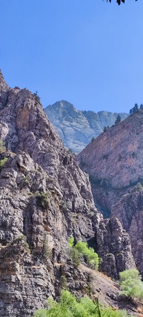 Палатки, карематы, спальники, рюкзаки и многое другое