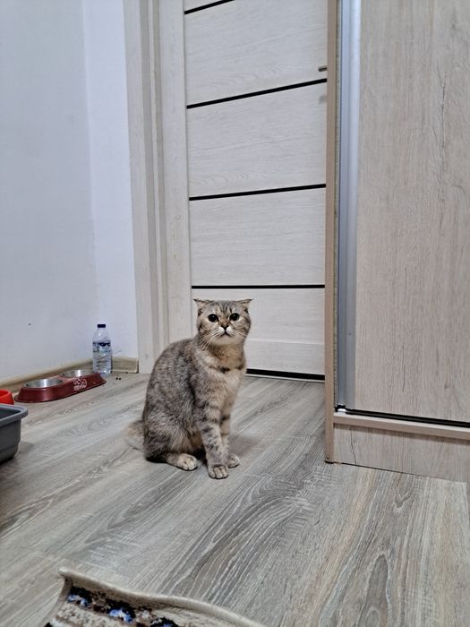 Срочно продается