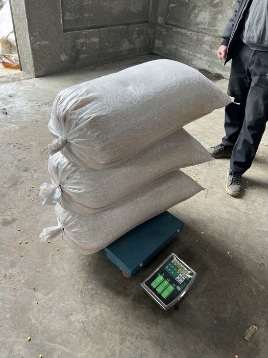 Vand Porumb Boabe Sticlos