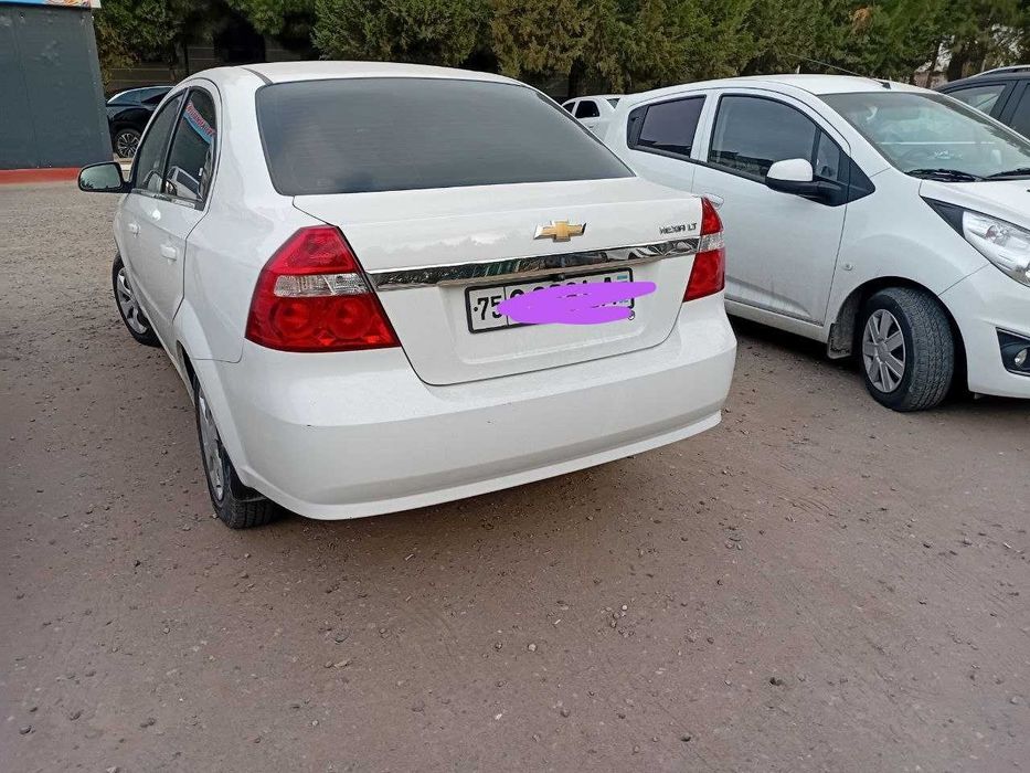 Nexia 3 2019 oq tozza