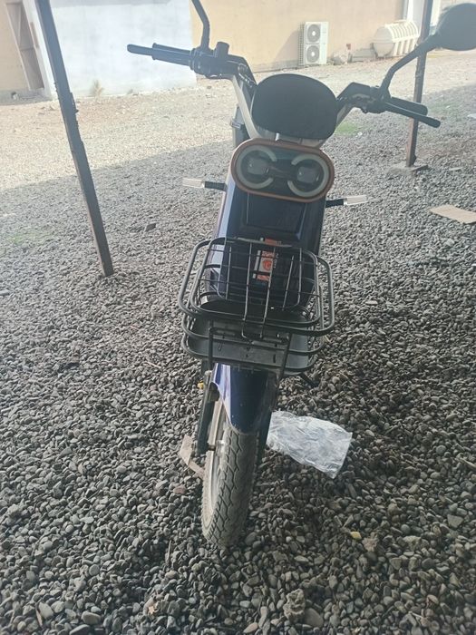 Skater Sotiladi kami bor