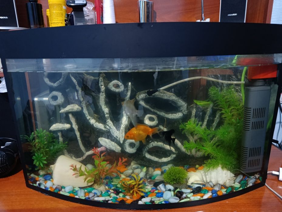 Akvrium sotiladi 750.000