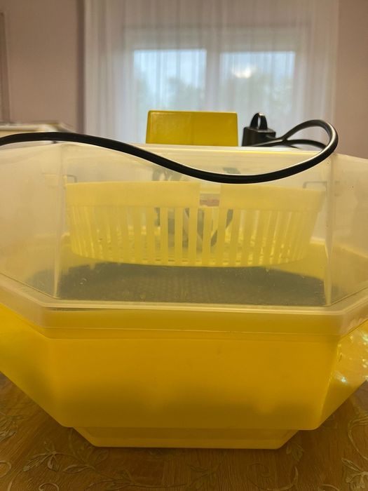 Incubator ouă electric
