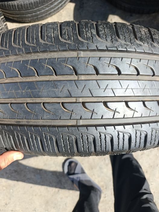 Ekonokis diska baloni