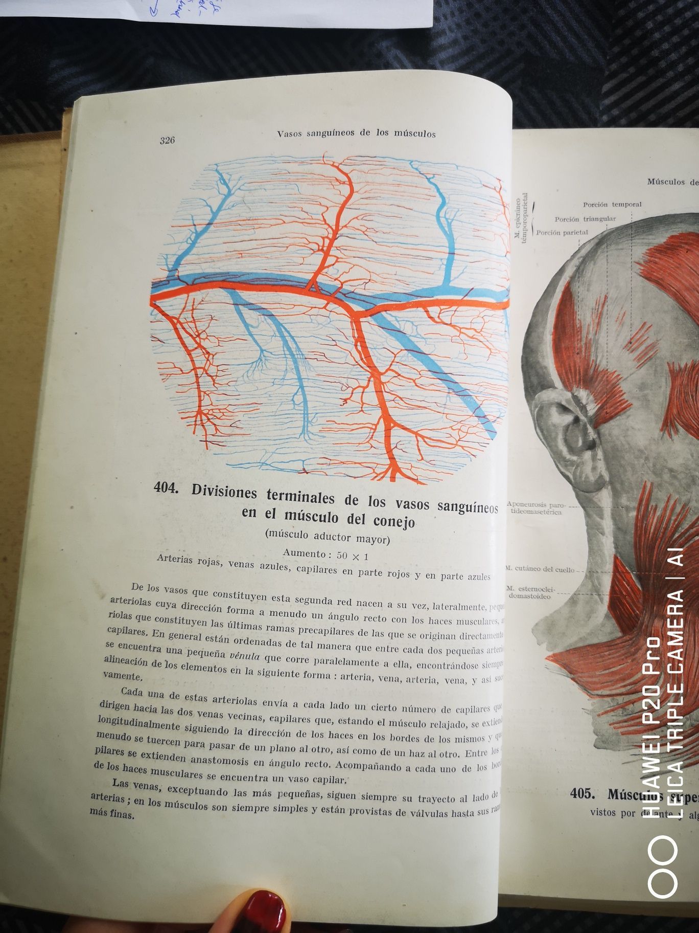 Учебник Esperantologio, физиология и атласи по анатомия на испански