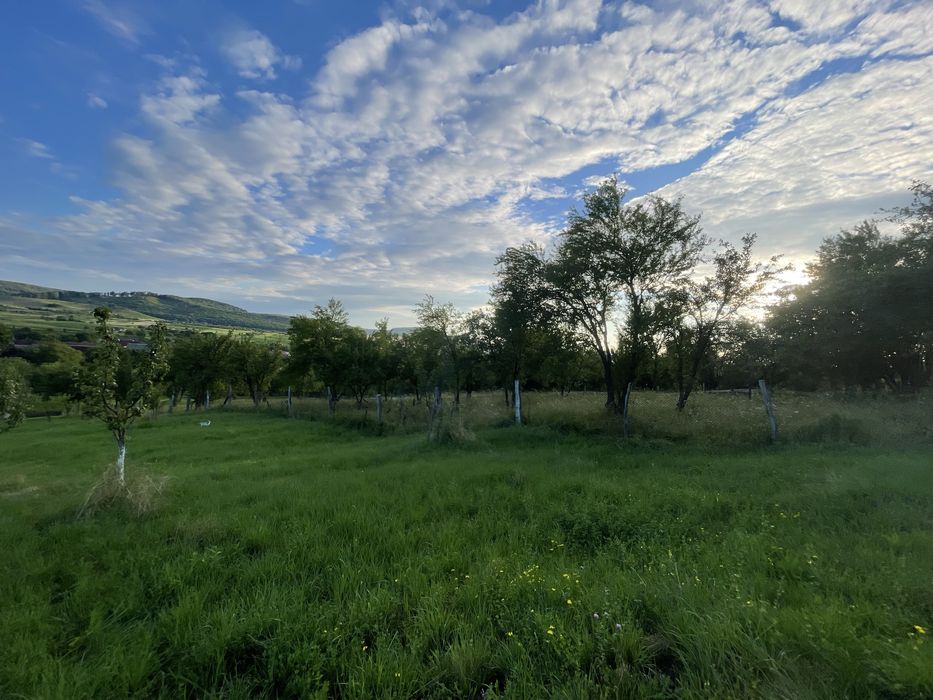 Casa de vanzare, 7-70 ari teren- 15 km de Bistrita