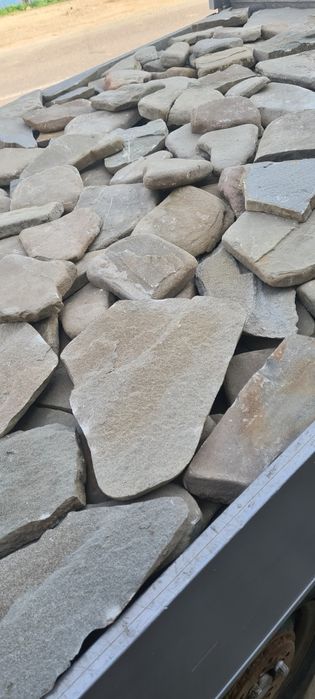 Piatră naturală de munte și plante ornamentale