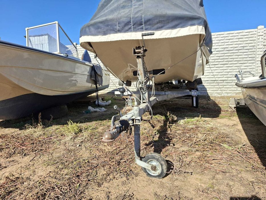 Boston Whaler cu motor Evinrude 20 cp si peridoc