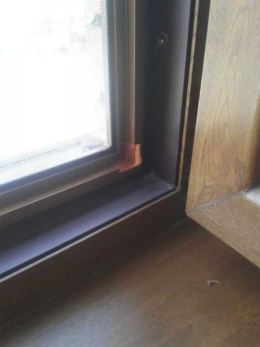 Все виды Маскидний сетки