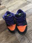Nike dunk sb night of mischief