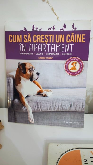 De  ce iubim cainii ghid îngrijire caini