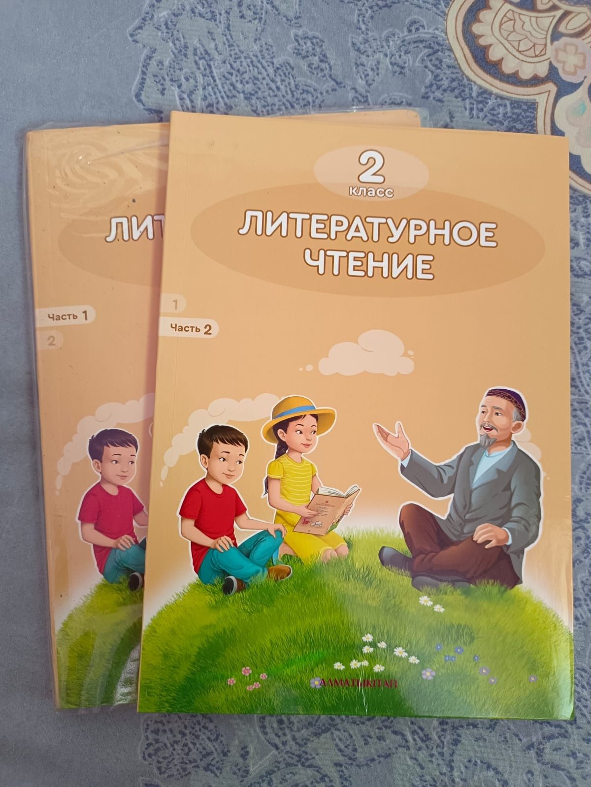 Книга на русскому класса