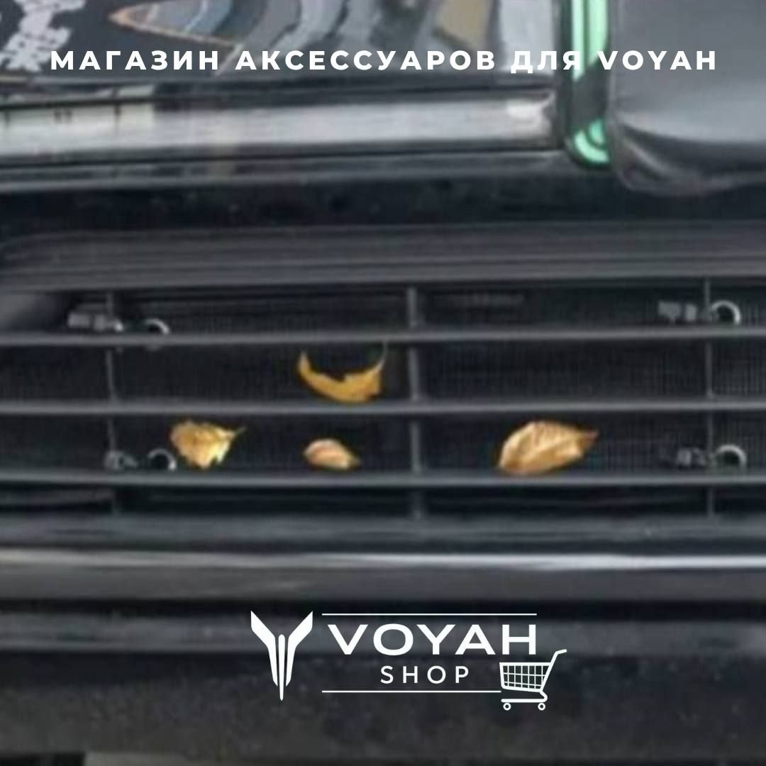 Сетка радиатора для Voyah Free Ev от «VoyahShop»