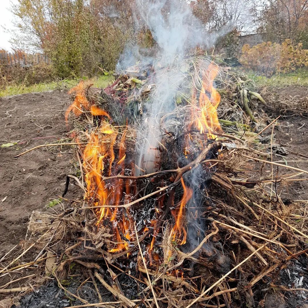 Продам дачу на СПП