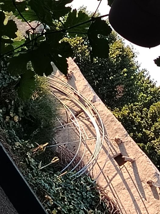 Parnik turbalari sotiladi