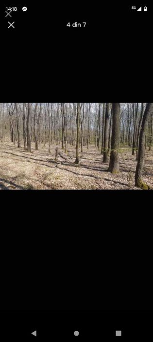 De vânzare Pădure  13 000 Mp,Josani, Peștișu Mic, Hunedoara