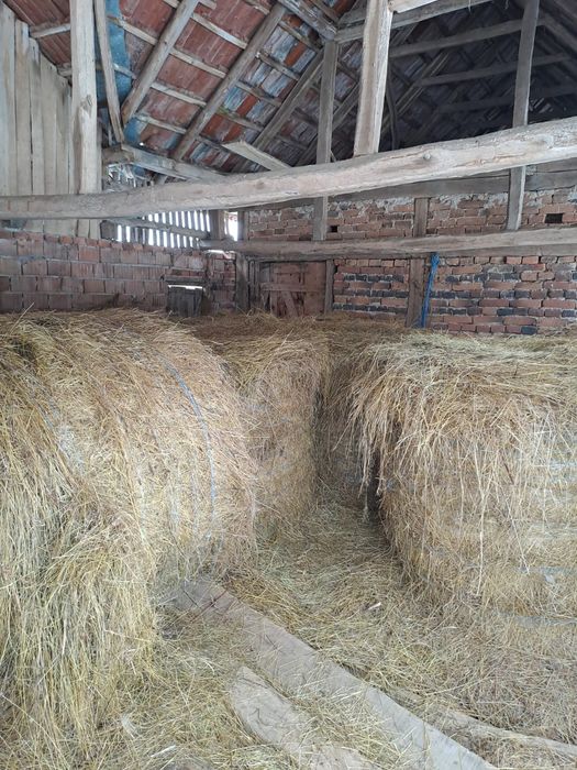 Vând Baloti de Fan Rotunzi Mari