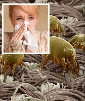 CURĂȚENIE, Deep cleaning. Fresh living.