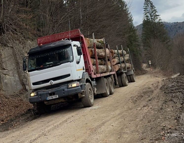 Vand schimb Renault Kerax echipat forestier